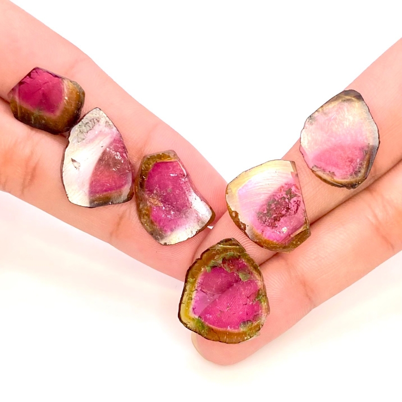 49 Cts. Watermelon Tourmaline 16-21mm Smooth Irregular Shape AA Grade Gemstones Parcel - Total 6 Pcs.