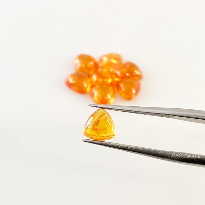 11.20 Carat Spessartite Garnet 6mm Smooth Trillion Shape AA Grade Cabochons Parcel - Total 9 Pcs.