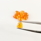 11.20 Carat Spessartite Garnet 6mm Smooth Trillion Shape AA Grade Cabochons Parcel - Total 9 Pcs.