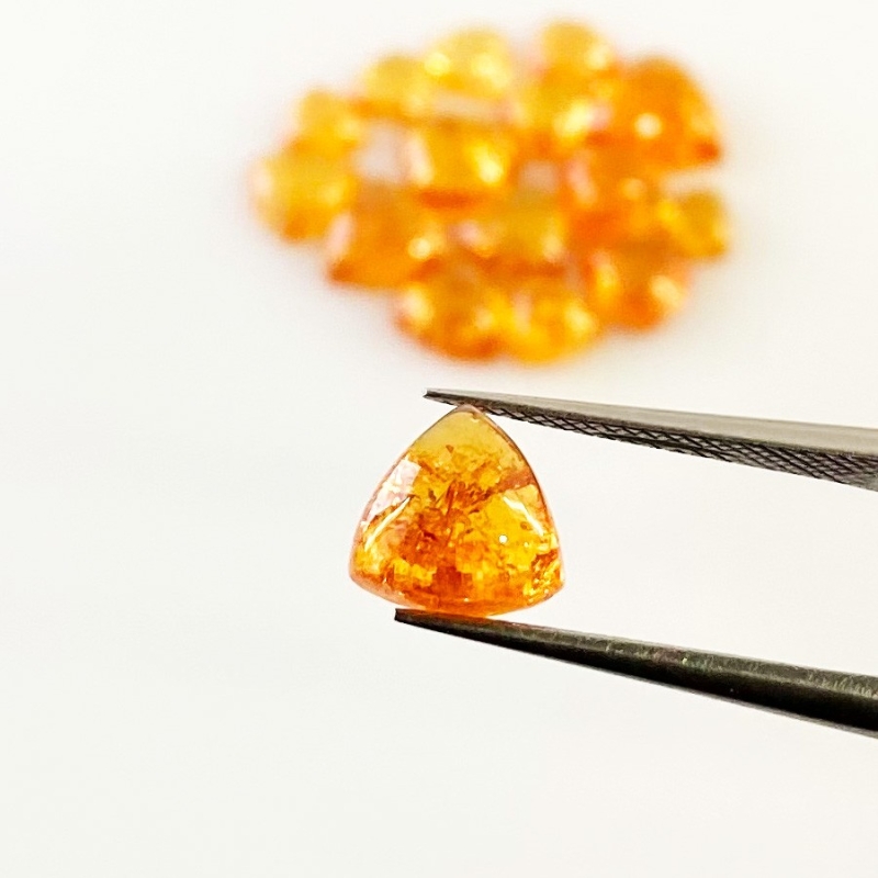 15.45 Carat Spessartite Garnet 4-8 Smooth Trillion Shape AA Grade Cabochons Parcel - Total 16 Pcs.
