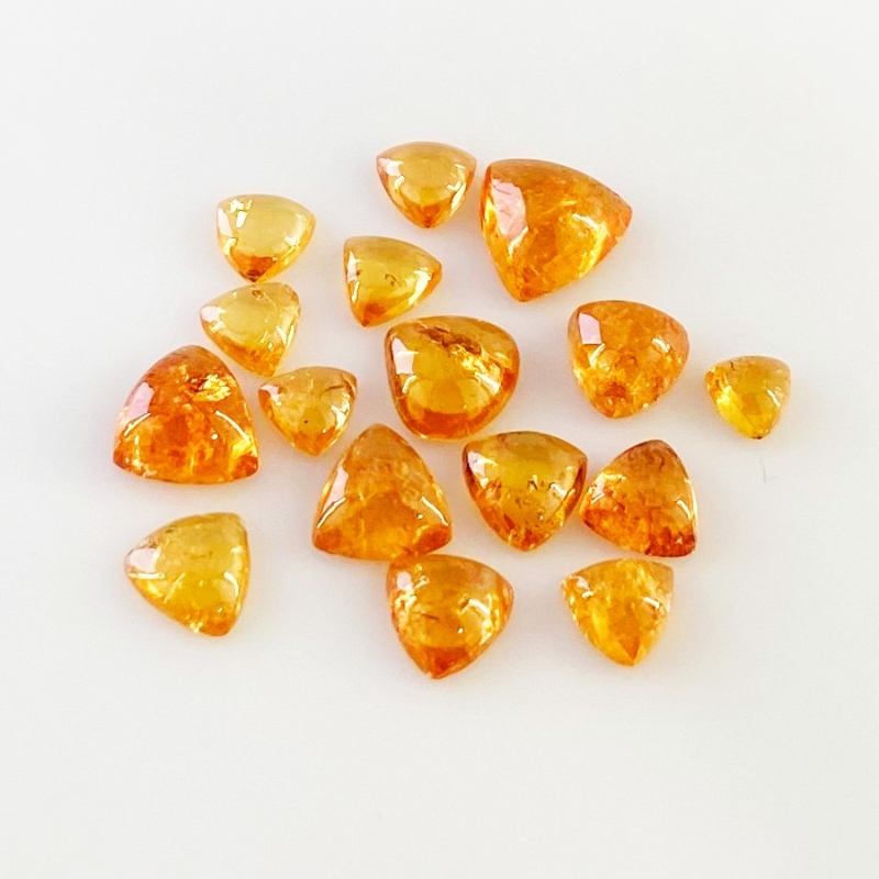 15.45 Carat Spessartite Garnet 4-8 Smooth Trillion Shape AA Grade Cabochons Parcel - Total 16 Pcs.