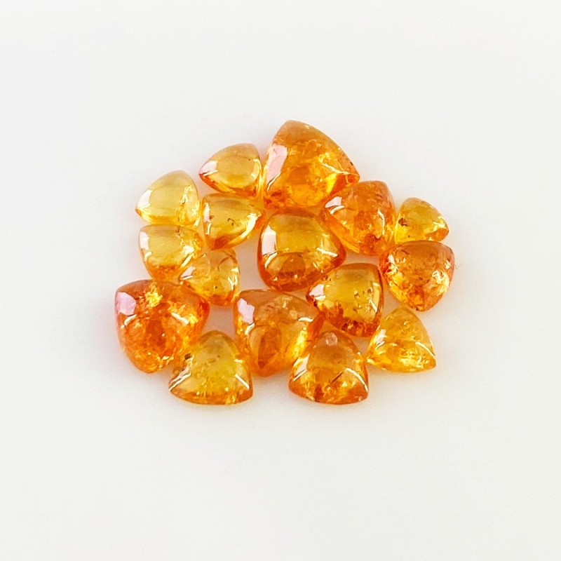 15.45 Carat Spessartite Garnet 4-8 Smooth Trillion Shape AA Grade Cabochons Parcel - Total 16 Pcs.