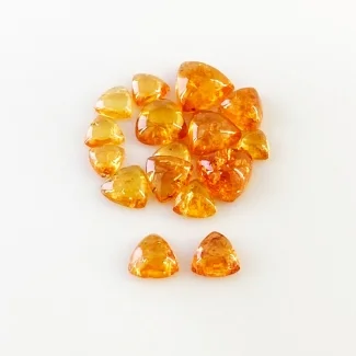 15.45 Carat Spessartite Garnet 4-8 Smooth Trillion Shape AA Grade Cabochons Parcel - Total 16 Pcs.