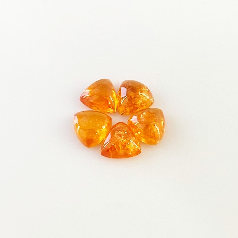 9.25 Carat Spessartite Garnet 7mm Smooth Trillion Shape AA Grade Cabochons Parcel - Total 5 Pcs.