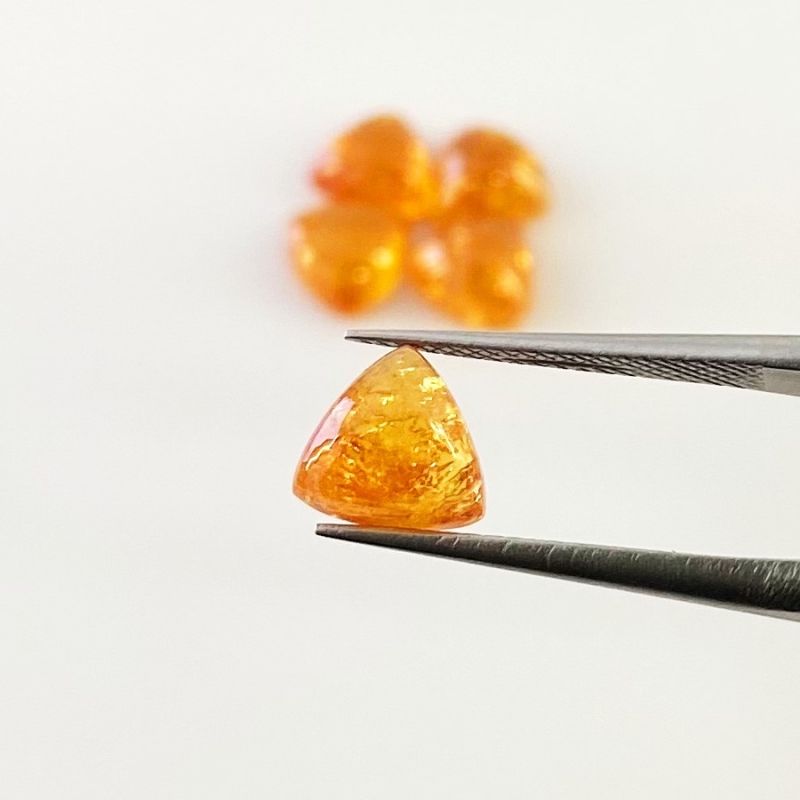 9.25 Carat Spessartite Garnet 7mm Smooth Trillion Shape AA Grade Cabochons Parcel - Total 5 Pcs.