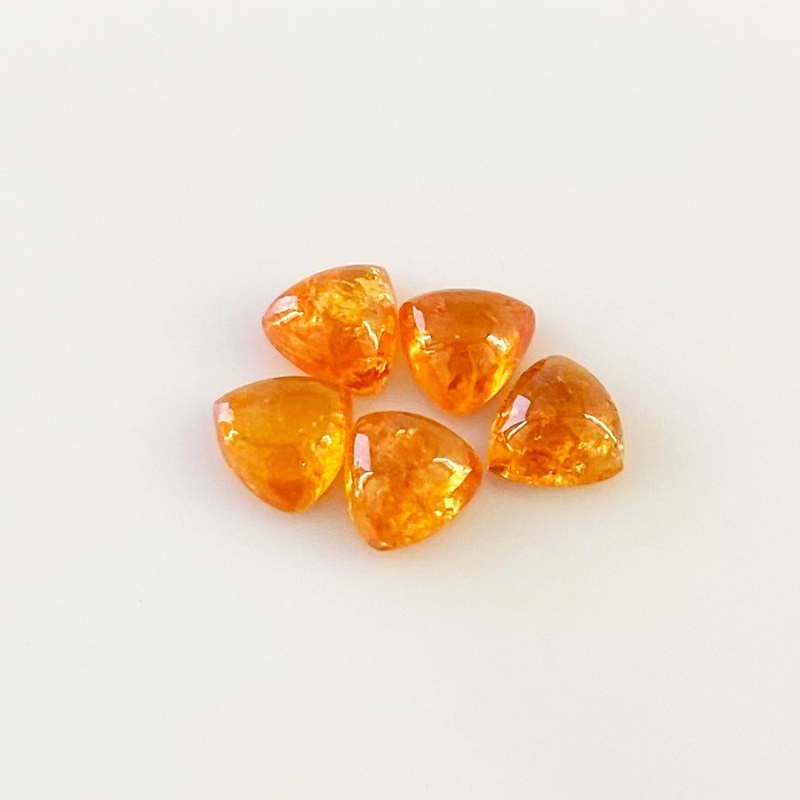 9.25 Carat Spessartite Garnet 7mm Smooth Trillion Shape AA Grade Cabochons Parcel - Total 5 Pcs.