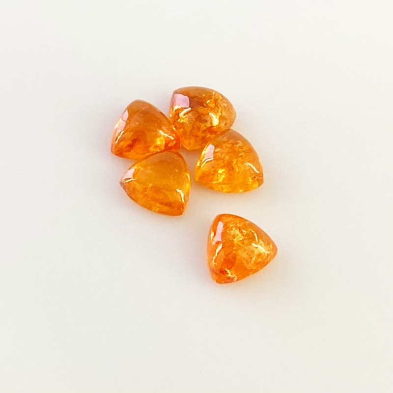 9.25 Carat Spessartite Garnet 7mm Smooth Trillion Shape AA Grade Cabochons Parcel - Total 5 Pcs.