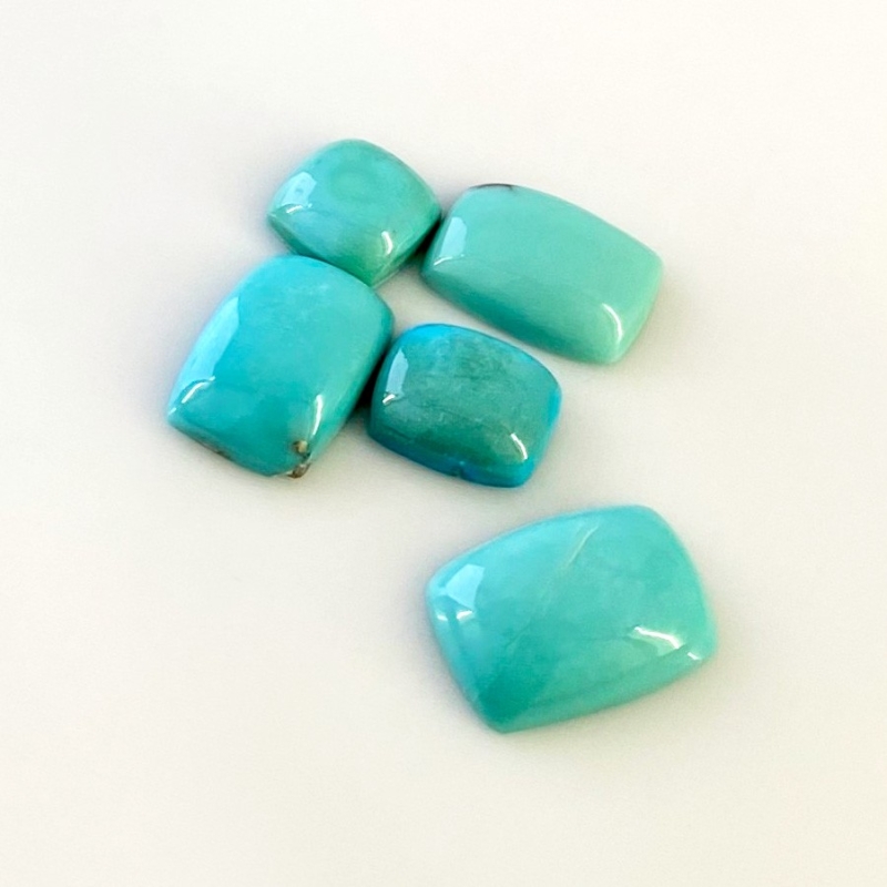 24.75 Cts. Turquoise 2.93-7.47Cts. Smooth Mix Shape AA+ Grade Cabochons Parcel - Total 5 Pcs.