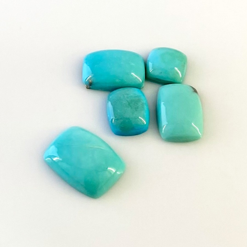 24.75 Cts. Turquoise 2.93-7.47Cts. Smooth Mix Shape AA+ Grade Cabochons Parcel - Total 5 Pcs.