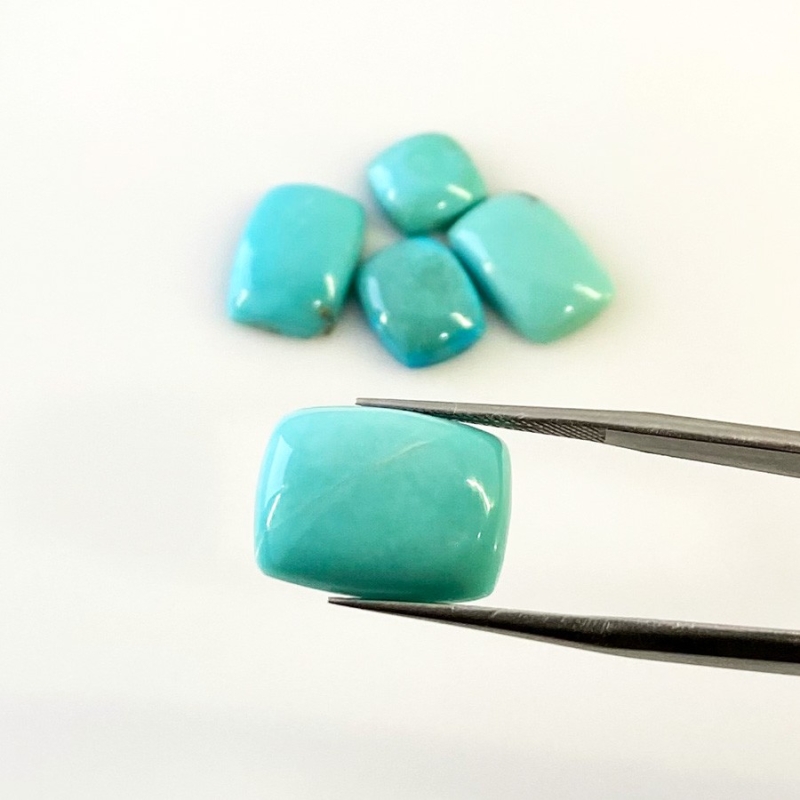 24.75 Cts. Turquoise 2.93-7.47Cts. Smooth Mix Shape AA+ Grade Cabochons Parcel - Total 5 Pcs.