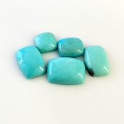 24.75 Cts. Turquoise 2.93-7.47Cts. Smooth Mix Shape AA+ Grade Cabochons Parcel - Total 5 Pcs.
