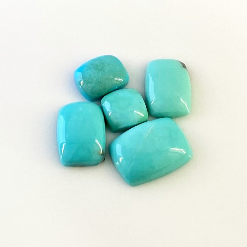 24.75 Cts. Turquoise 2.93-7.47Cts. Smooth Mix Shape AA+ Grade Cabochons Parcel - Total 5 Pcs.