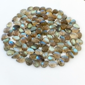 217.3 Carat Labradorite 10x7mm Smooth Pear Shape A Grade Cabochons Parcel - Total 110 Pcs.