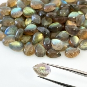 289.8 Carat Labradorite 10x7mm Smooth Pear Shape A Grade Cabochons Parcel - Total 146 Pcs.