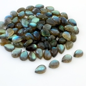 203.2 Carat Labradorite 10x7mm Smooth Pear Shape A Grade Cabochons Parcel - Total 91 Pcs.
