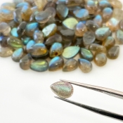 204.25 Carat Labradorite 9x6mm Smooth Pear Shape A Grade Cabochons Parcel - Total 136 Pcs.