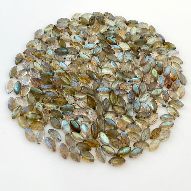 205.9 Carat Labradorite 8x4mm Smooth Marquise Shape A Grade Cabochons Parcel - Total 340 Pcs.