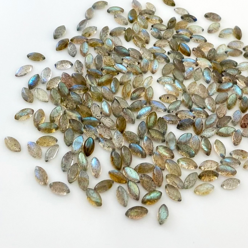 205.9 Carat Labradorite 8x4mm Smooth Marquise Shape A Grade Cabochons Parcel - Total 340 Pcs.