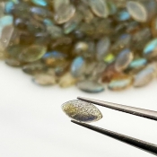 205.9 Carat Labradorite 8x4mm Smooth Marquise Shape A Grade Cabochons Parcel - Total 340 Pcs.