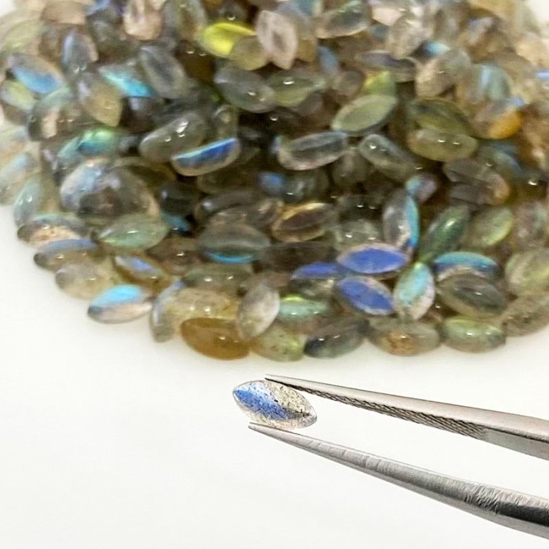 106.8 Carat Labradorite 6x3mm Smooth Marquise Shape AA Grade Cabochons Parcel - Total 338 Pcs.