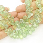 Prehnite 8-12mm Briolette Drop Shape AAA Grade Gemstone Beads Strand - Total 1 Strand of 8 Inch.
