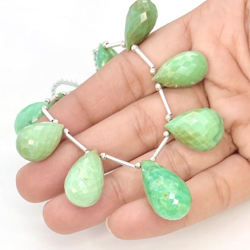 Chrysoprase 14.5-25mm Briolette Drop Shape AA Grade Gemstone Beads Layout - Total 1 Strand of 6 Inch.