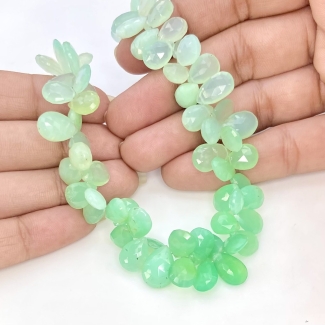 Chrysoprase 10-13mm Briolette Pear Shape AA+ Grade Gemstone Beads Strand - Total 1 Strand of 8 Inch.