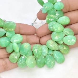 Chrysoprase 14-19mm Briolette Pear Shape A Grade Gemstone Beads Strand - Total 1 Strand of 7 Inch.