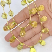 Lemon Quartz 11.5-15.5mm Briolette Drop Shape AAA Grade Multi Strand Beads Layout - Total 2 Strands of 8-10 Inch