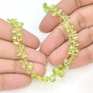 Peridot 5.5-7mm Briolette Pear Shape AAA Grade Gemstone Beads Strand - Total 1 Strand of 8 Inch.