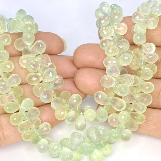 Prehnite 7-11mm Briolette Drop Shape AAA Grade Gemstone Beads Strand - Total 1 Strand of 8 Inch.