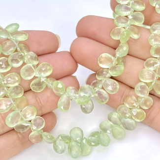 Prehnite 9-9.5mm Briolette Pear Shape AAA Grade Gemstone Beads Strand - Total 1 Strand of 8 Inch.