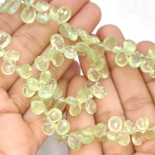Prehnite 8-10mm Briolette Pear Shape AAA Grade Gemstone Beads Strand - Total 1 Strand of 8 Inch.