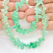 Chrysoprase 7-8mm Briolette Pear Shape AA+ Grade Gemstone Beads Strand - Total 1 Strand of 8 Inch.