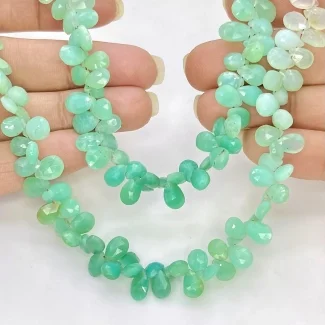Chrysoprase 7-9mm Briolette Pear Shape AA+ Grade Gemstone Beads Strand - Total 1 Strand of 8 Inch.