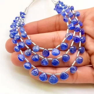 Blue Sapphire 4-8.5mm Smooth Heart Shape AA Grade Multi Strand Beads Layout - Total 3 Strands of 8-10 Inch