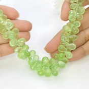Prehnite 9-12mm Briolette Drop Shape AAA Grade Gemstone Beads Strand - Total 1 Strand of 8 Inch.