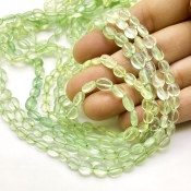 Prehnite 6-8mm Smooth Oval Shape A+ Grade Gemstone Beads Strand - Total 1 Strand of 14 Inch.