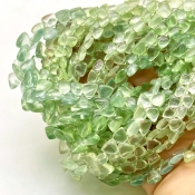 Prehnite 4.5-9mm Smooth Trillion Shape AA+ Grade Gemstone Beads Lot - Total 10 Strands of 8 Inch.