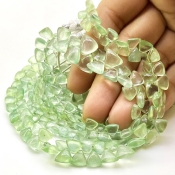 Prehnite 4.5-9mm Smooth Trillion Shape AA+ Grade Gemstone Beads Lot - Total 10 Strands of 8 Inch.