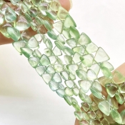 Prehnite 4.5-9mm Smooth Trillion Shape AA+ Grade Gemstone Beads Lot - Total 10 Strands of 8 Inch.