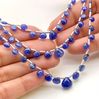Blue Sapphire 3.5-9mm Smooth Heart Shape AA Grade Multi Strand Beads Layout - Total 3 Strands of 6-8 Inch
