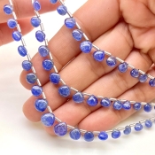 Blue Sapphire 4-7mm Smooth Heart Shape AA Grade Multi Strand Beads Layout - Total 3 Strands of 6-8 Inch