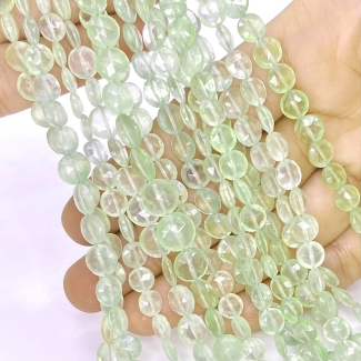 Prehnite 5.5-7mm Briolette Round Shape AAA Grade Gemstone Beads Lot - Total 13 Strands of 8 Inch.