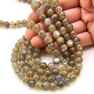 Labradorite 8-9mm Smooth Round Shape A+ Grade Gemstone Beads Strand - Total 1 Strand of 14 Inch.