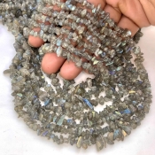 Labradorite 5-7mm Tumbled Chip Shape A Grade Gemstone Beads Strand - Total 1 Strand of 36 Inch.