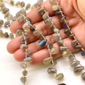 Labradorite 9-12mm Smooth Drop Shape B Grade Gemstone Beads Lot - Total 5 Strands of 19 Inch.