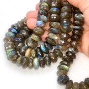 Labradorite 13-14.5mm Faceted Rondelle Shape AA Grade Gemstone Beads Strand - Total 1 Strand of 10 Inch.