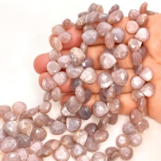 Grey Moonstone 8.5-11mm Briolette Heart Shape AA+ Grade Gemstone Beads Lot - Total 8 Strands of 8 Inch.
