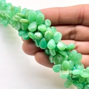 Chrysoprase 9-10mm Smooth Pear Shape AA Grade Gemstone Beads Strand - Total 1 Strand of 8 Inch.